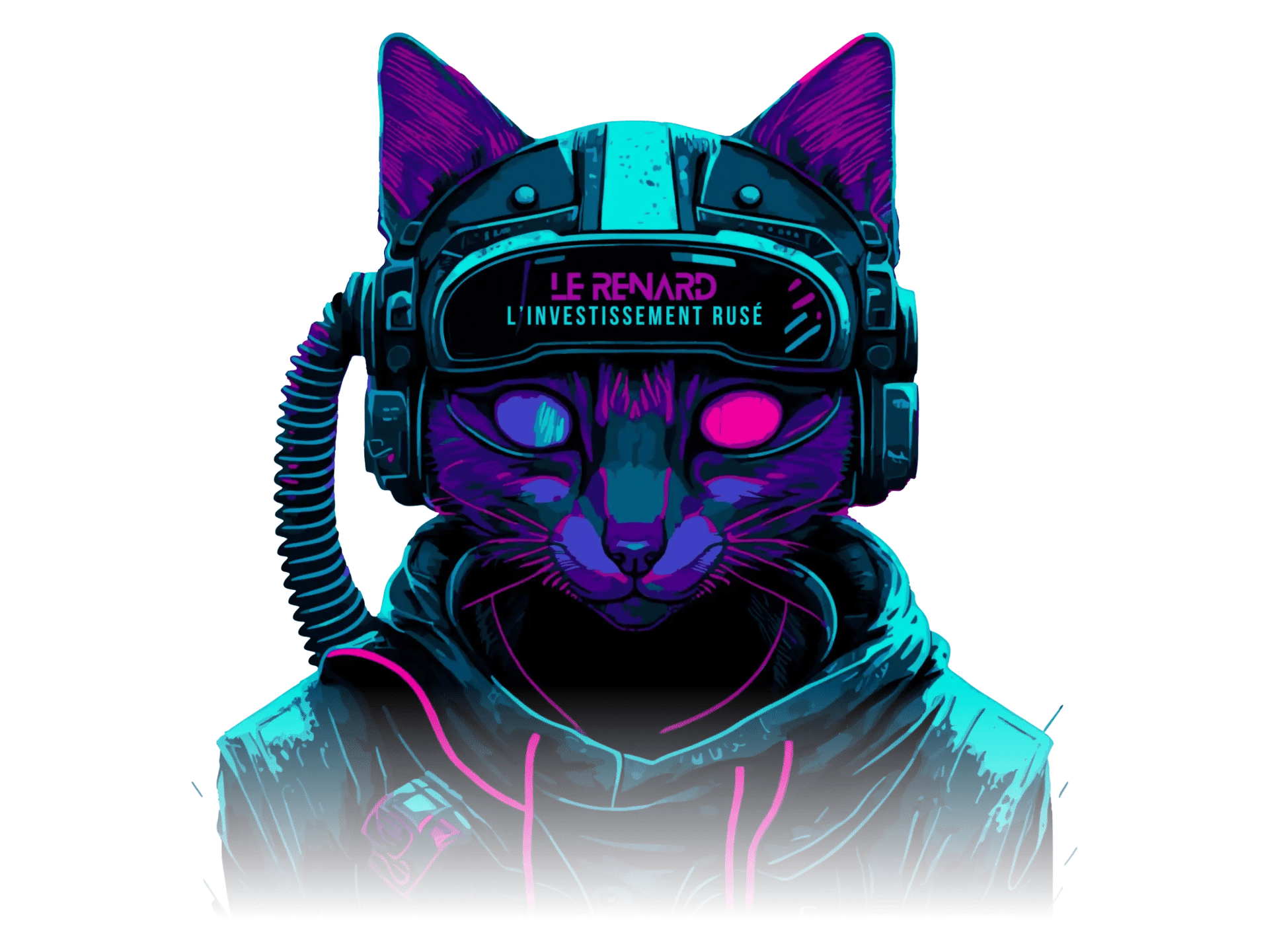 <em>Le Renard Crypto</em> recomenda que você escolha a Ledger