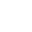 LNSP icon white